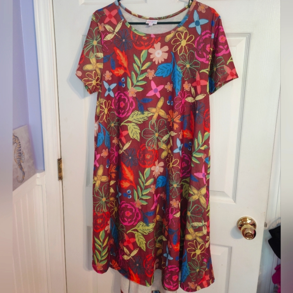 LuLaRoe Vivid Floral Carly Dress